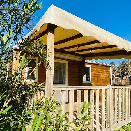 Amelia Camping Amélie-les-Bains-Palalda Dış mekan fotoğraf
