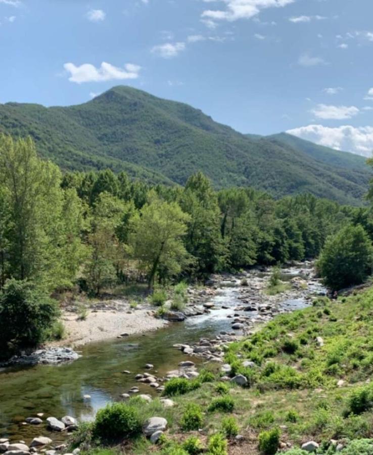 Amelia Camping Amélie-les-Bains-Palalda Dış mekan fotoğraf